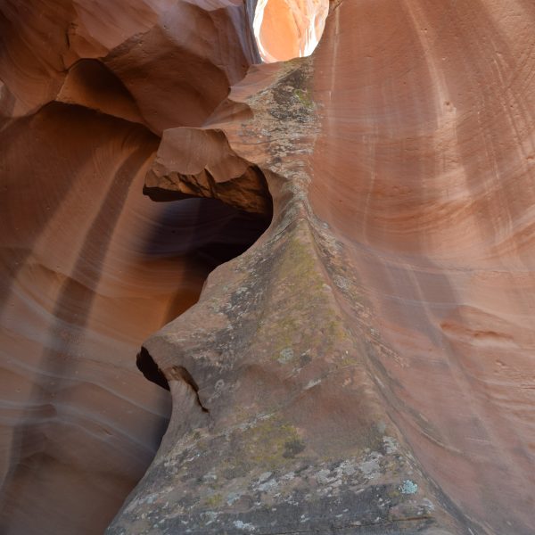 Smooth, curved sandstone walls of Antelope Canyon with natural light shining through.