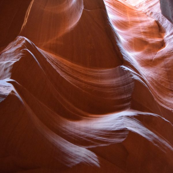Sunlight illuminating curving sandstone walls in a narrow canyon.